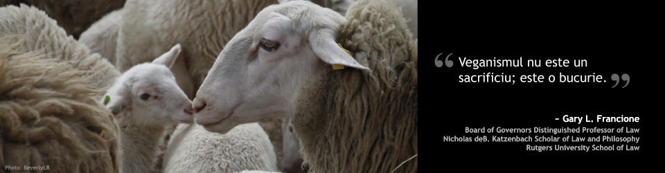 Drepturile animalelor: abordarea aboliționistă