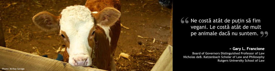 Drepturile animalelor: abordarea aboliționistă