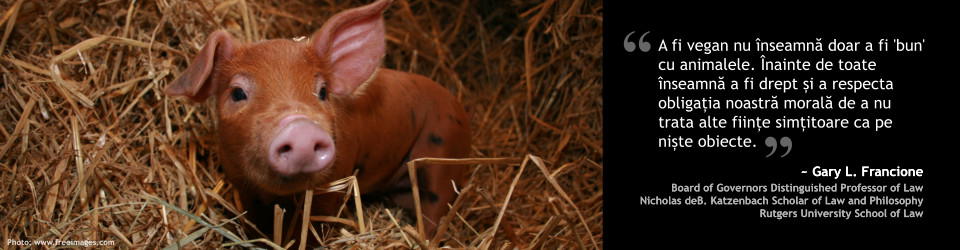 Drepturile animalelor: abordarea aboliționistă